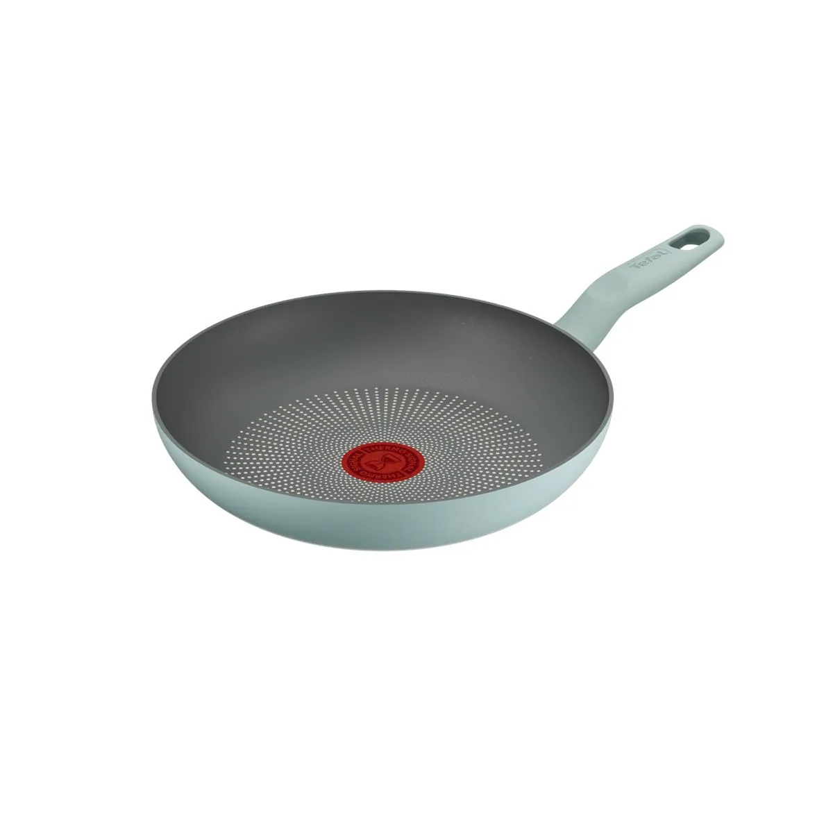 Tefal Halo Okaliptus Tava - 24 Cm